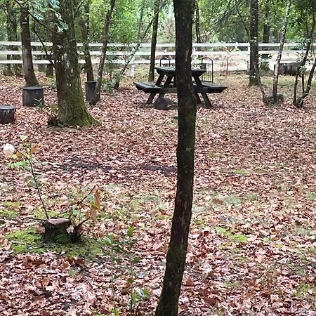 Nature Chalé Carcans